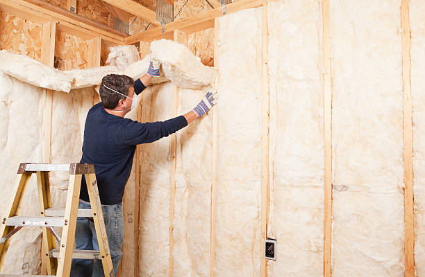 Best Reflective Insulation  in East Tawas, MI